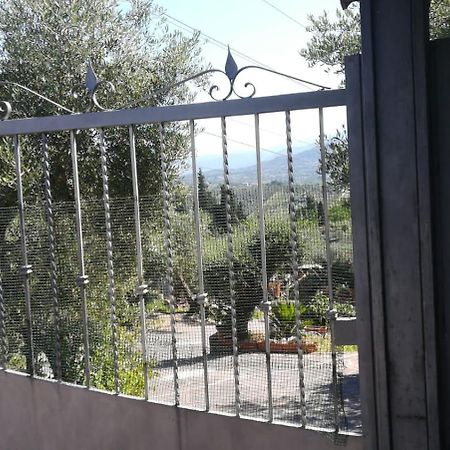 La Casa Tra Gli Ulivi Di Fonte Nuova 2 Mentana Exterior foto
