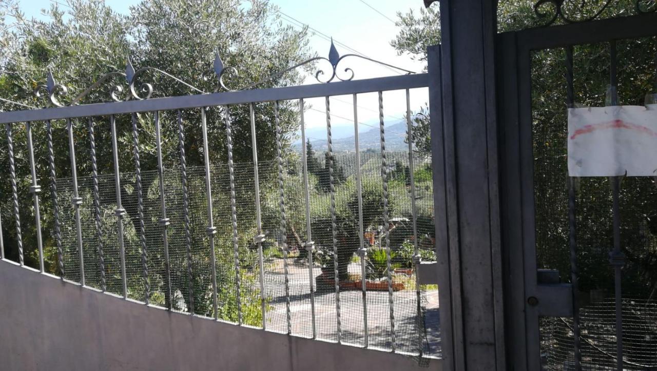 La Casa Tra Gli Ulivi Di Fonte Nuova 2 Mentana Exterior foto