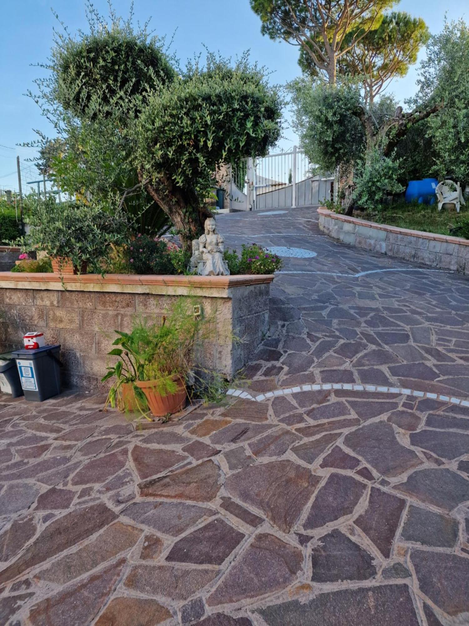 La Casa Tra Gli Ulivi Di Fonte Nuova 2 Mentana Exterior foto
