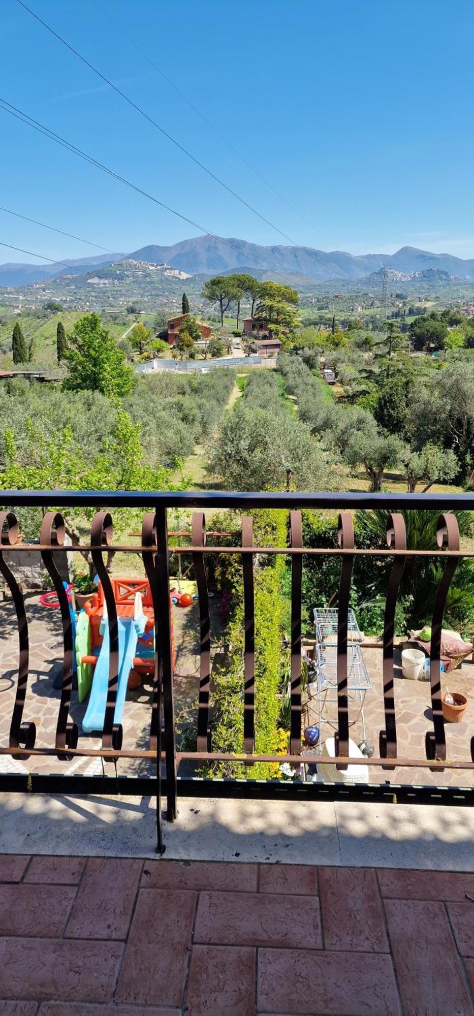 La Casa Tra Gli Ulivi Di Fonte Nuova 2 Mentana Exterior foto